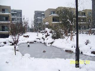 南岸花城