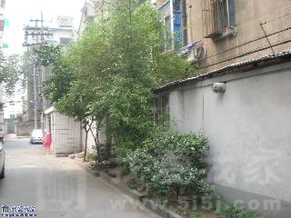 沈塘新村