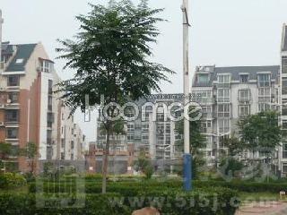 ���Ӽ�԰