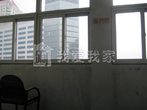 ilddhfal853d21d1.jpg