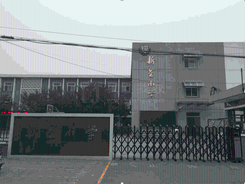 新星小学