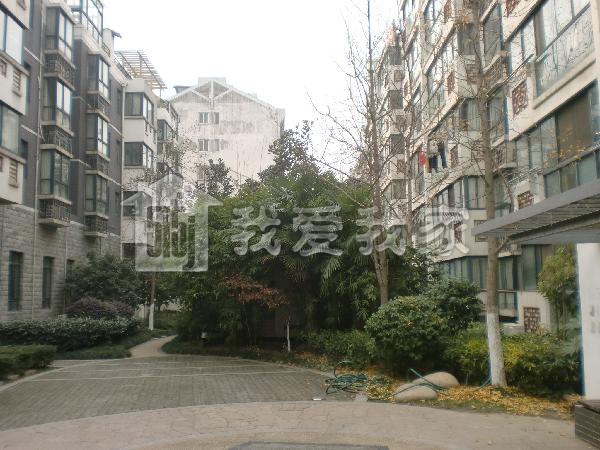 南京小区 秦淮小区 夫子庙小区 宏图上福园南园