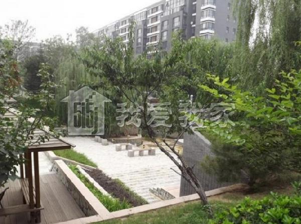 丽都东镇滨河1号 不限购精装loft