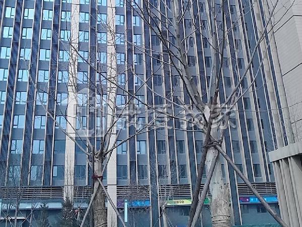 波普公社 不限购 商住两用 地理位置好
