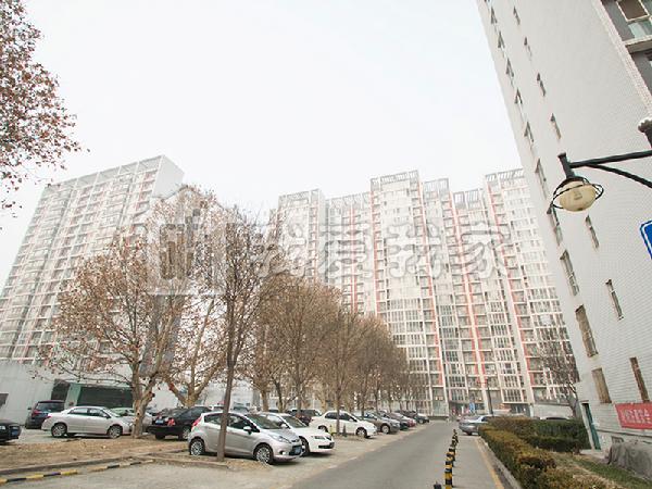 晨光家园b区 看房方便诚意出售