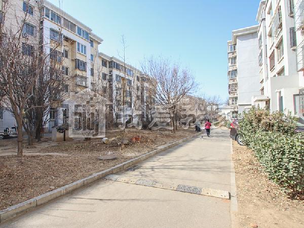 北京二手房信息 大兴二手房 西红门二手房 兴海家园星苑二手房 > 当前