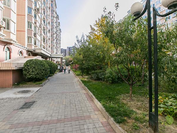 新景家园西区 3室1厅2卫