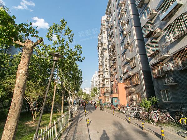 新景家园西区 1室1厅1卫