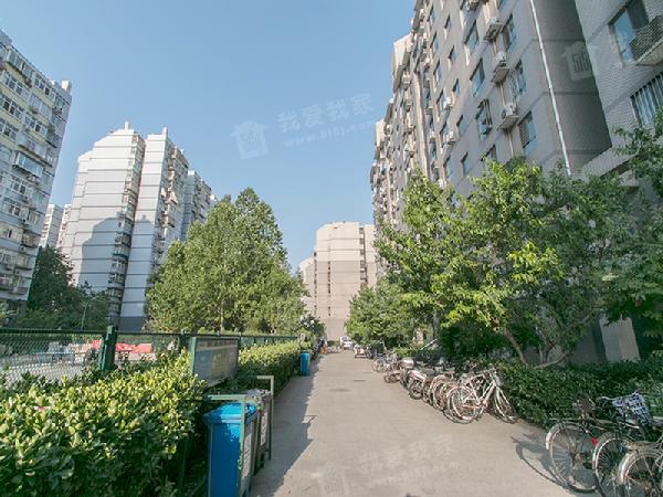 新景家园东区 3室1厅1卫