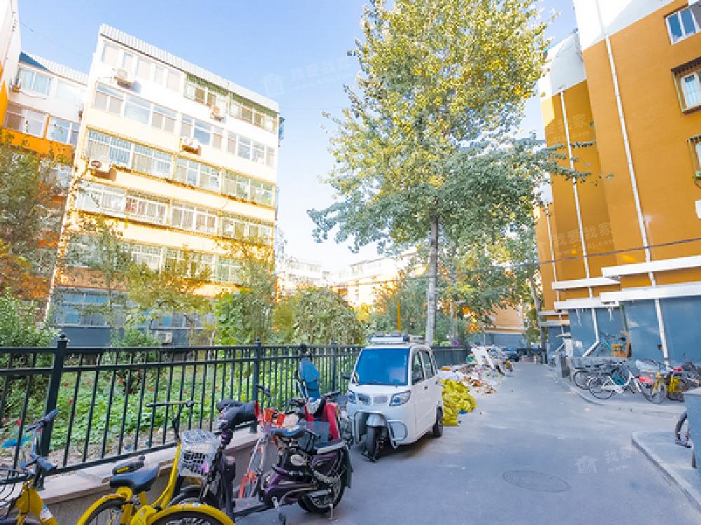 南露园 1室1厅1卫