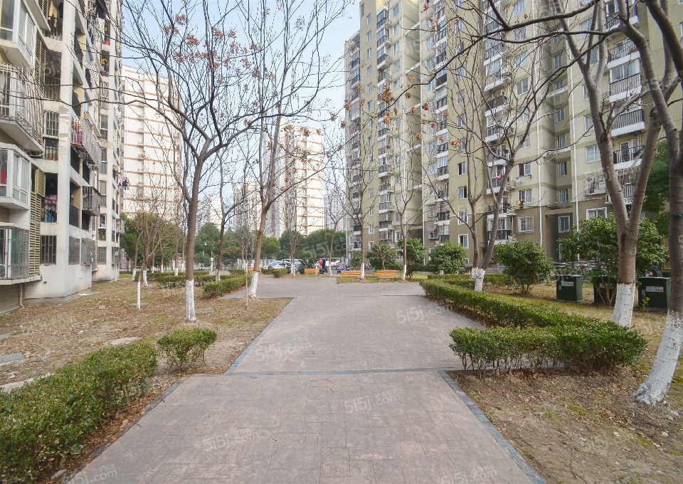 高行绿洲三期