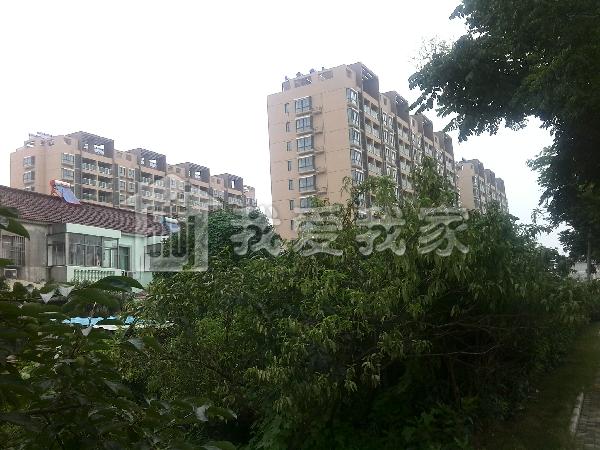 颐家春天花园怎么样南京颐家春天花园房价房源地址户型图周边配套详情
