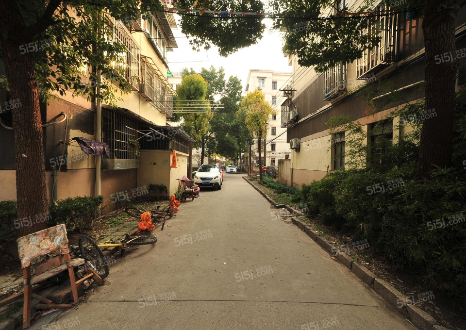 北巷小区-上钞银杏苑