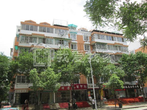 思园小区隶属于南京市建邺区南苑商圈优质小区,开发商为江苏星汉城