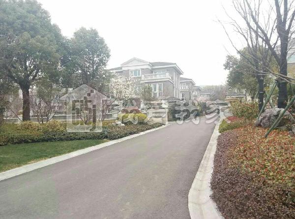 德基紫金山庄一号