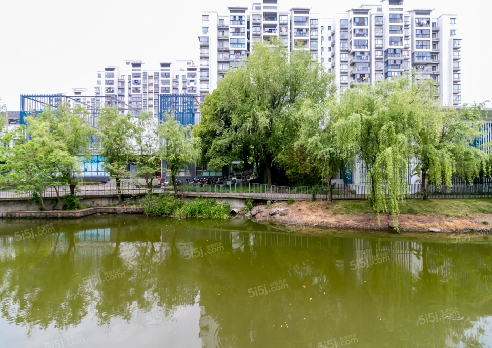 仁恒运杰河滨花园-外青松公路6999弄
