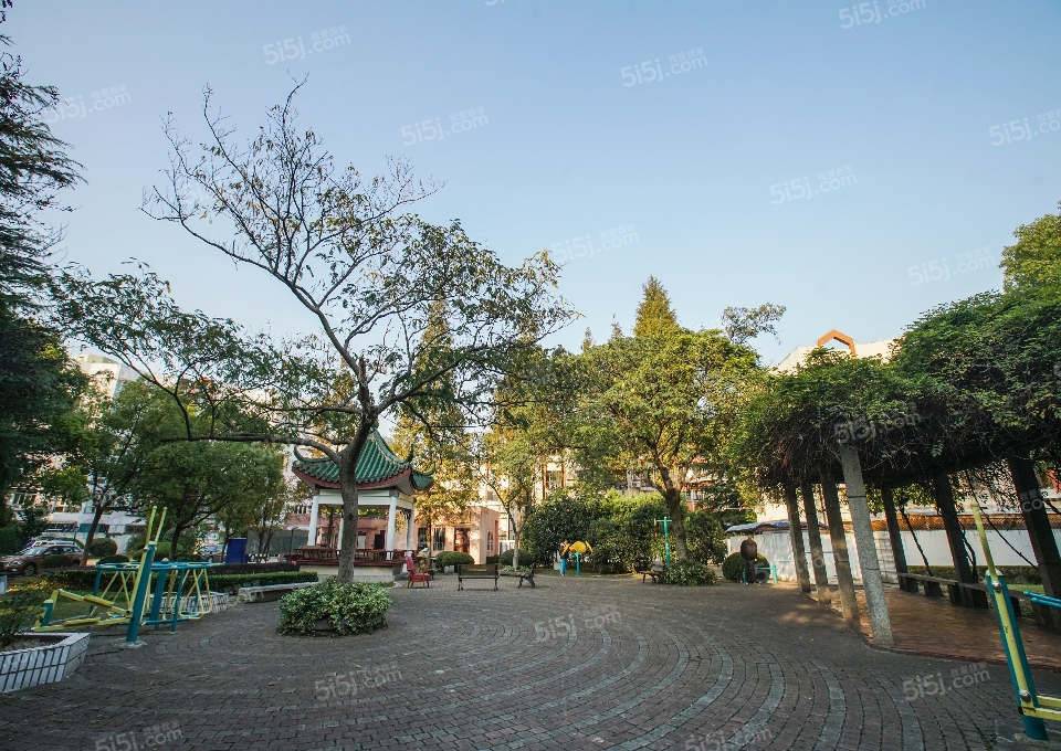 上海我爱我家月季园第12张图