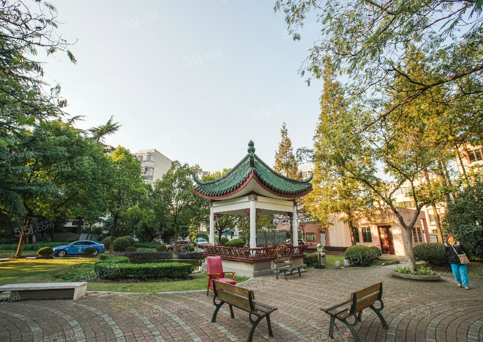 上海我爱我家月季园第11张图