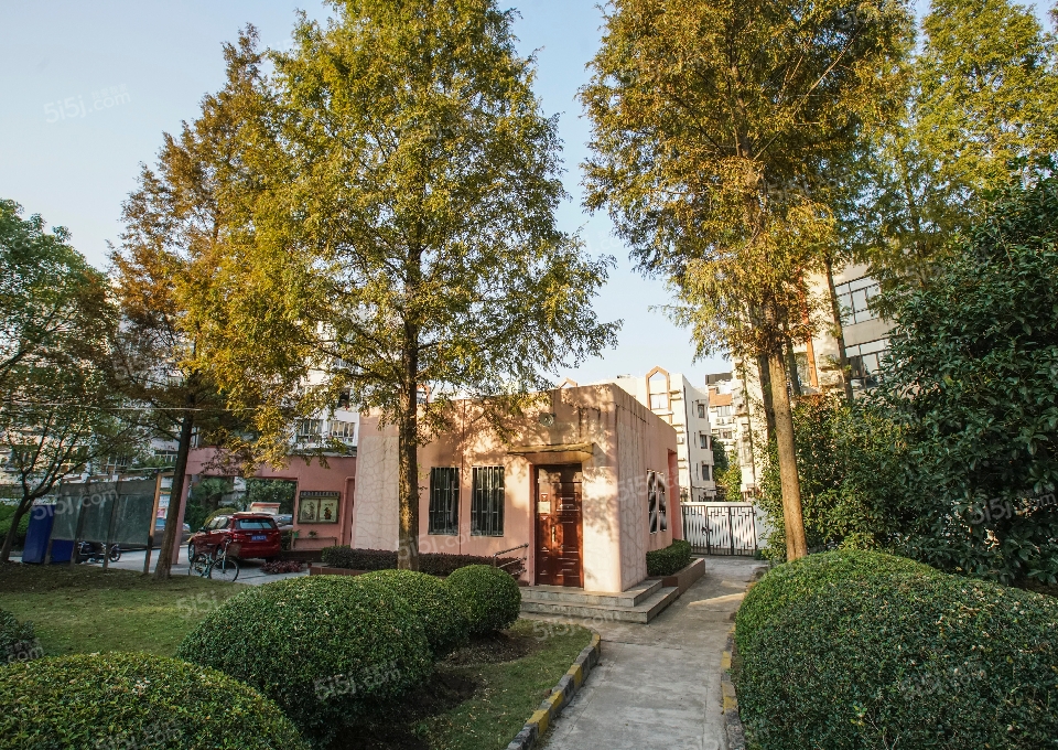 上海我爱我家月季园第13张图