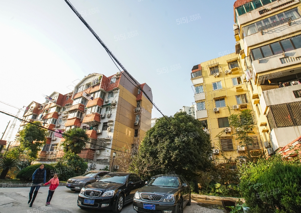 上海我爱我家月季园第6张图