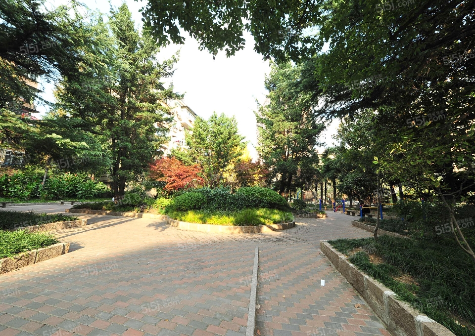 曹杨三村-杏杨园