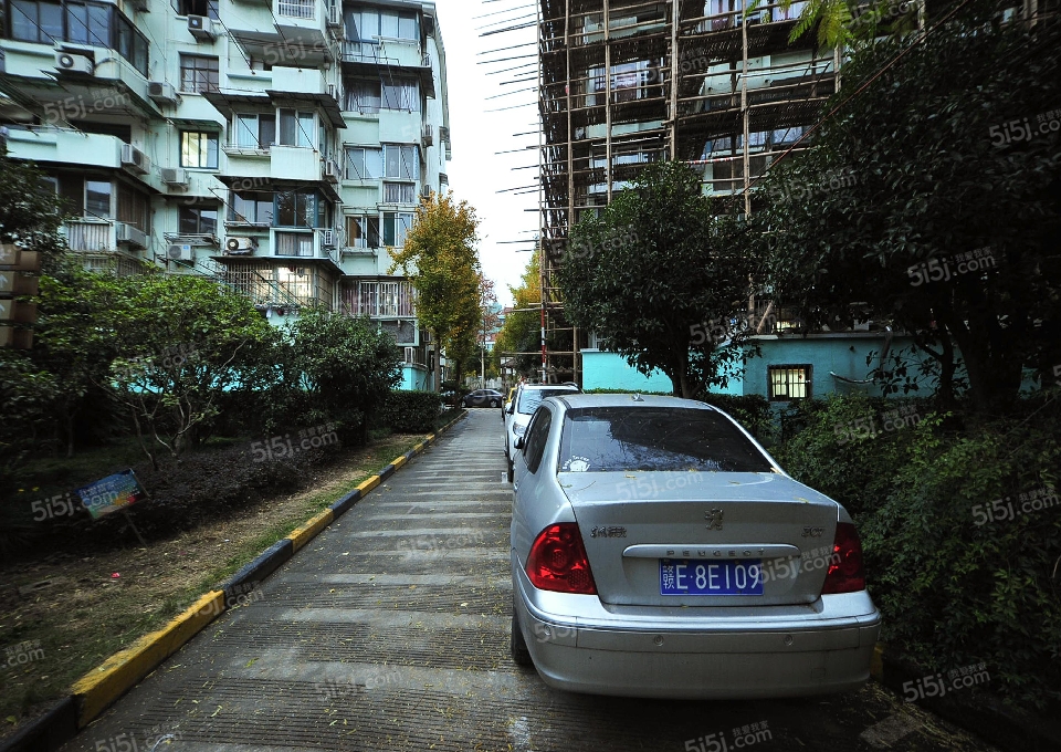 曹杨五村-杏梅园