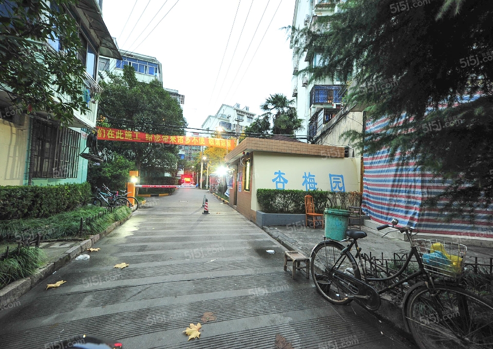 曹杨五村杏梅园