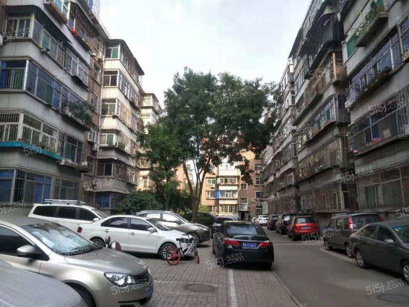 大同路 胜利街 北中环 胜西小区大同路,北中环,胜利街