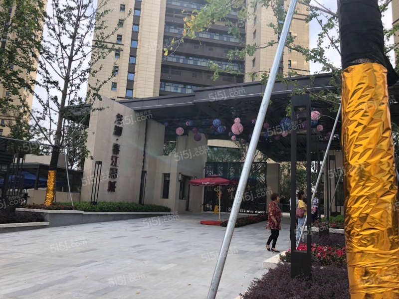 南京我爱我家龙湖春江郦城第5张图