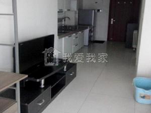 石佛营·华业玫瑰郡·低楼层·1居室